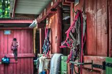 Sellerie Brédoise La Brède proche de Bordeaux